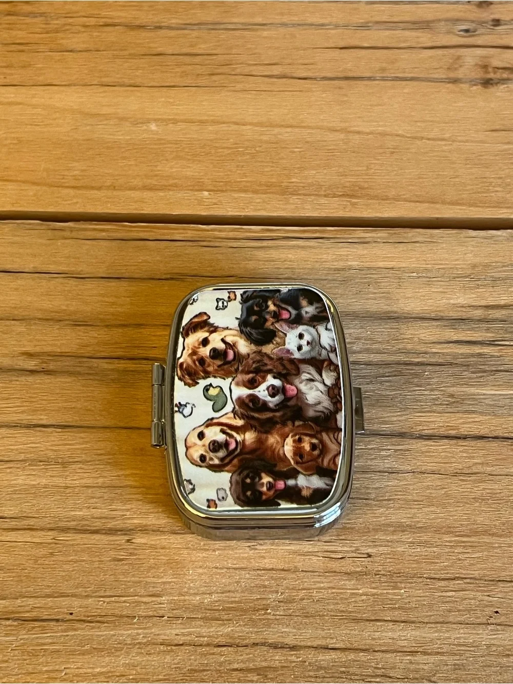 Puppy Theme Design Purse Pill Box/Travel Jewelry-Compact With Lidded Mirror
